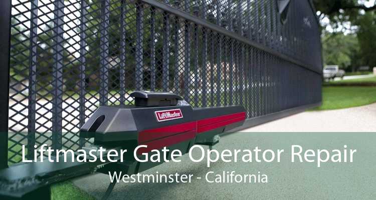 Liftmaster Gate Operator Repair Westminster - California